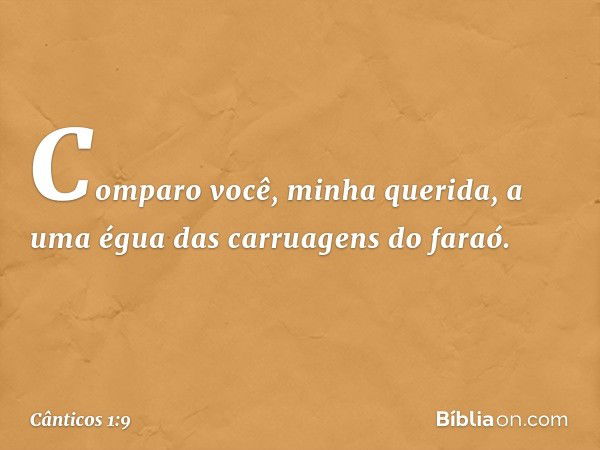 Comparo você, minha querida,
a uma égua das carruagens do faraó. -- Cânticos 1:9