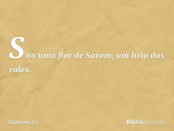 Sou uma flor de Sarom,
um lírio dos vales. -- Cânticos 2:1