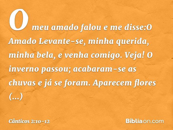 O meu amado falou e me disse:O Amado
Levante-se, minha querida,
minha bela, e venha comigo. Veja! O inverno passou;
acabaram-se as chuvas e já se foram. Aparece