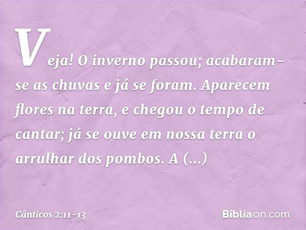 Veja! O inverno passou;
acabaram-se as chuvas e já se foram. Aparecem flores na terra,
e chegou o tempo de cantar;
já se ouve em nossa terra
o arrulhar dos pomb