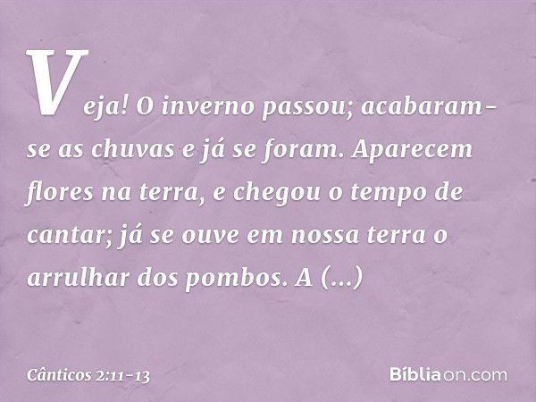 Veja! O inverno passou;
acabaram-se as chuvas e já se foram. Aparecem flores na terra,
e chegou o tempo de cantar;
já se ouve em nossa terra
o arrulhar dos pomb