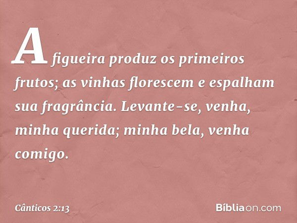 A figueira produz os primeiros frutos;
as vinhas florescem e espalham
sua fragrância.
Levante-se, venha, minha querida;
minha bela, venha comigo. -- Cânticos 2: