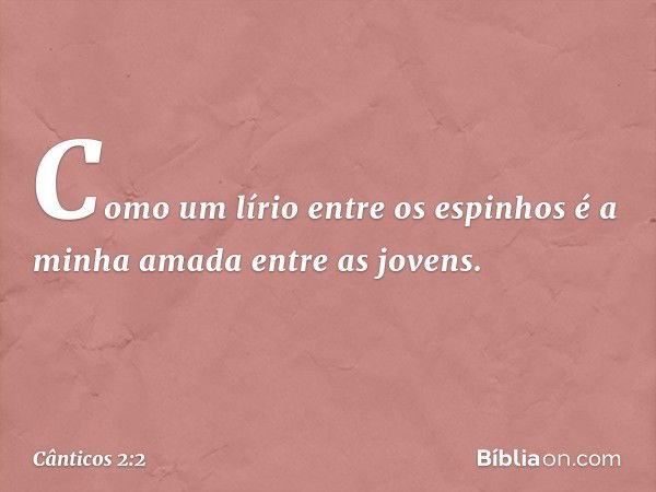 Como um lírio entre os espinhos
é a minha amada entre as jovens. -- Cânticos 2:2