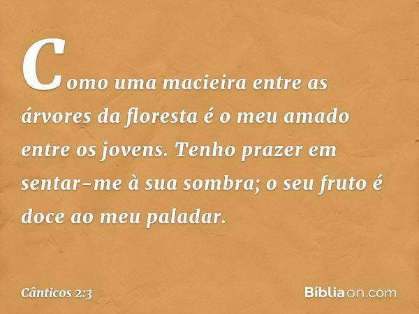 Como uma macieira entre
as árvores da floresta
é o meu amado entre os jovens.
Tenho prazer em sentar-me
à sua sombra;
o seu fruto é doce ao meu paladar. -- Cânt