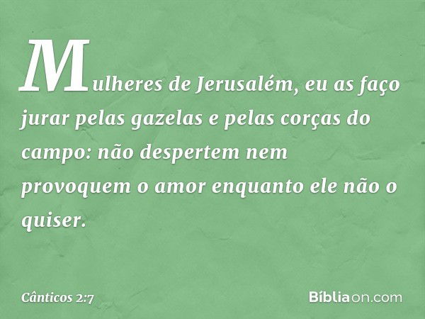 Mulheres de Jerusalém, eu as faço jurar
pelas gazelas e pelas corças do campo:
não despertem nem provoquem o amor
enquanto ele não o quiser. -- Cânticos 2:7