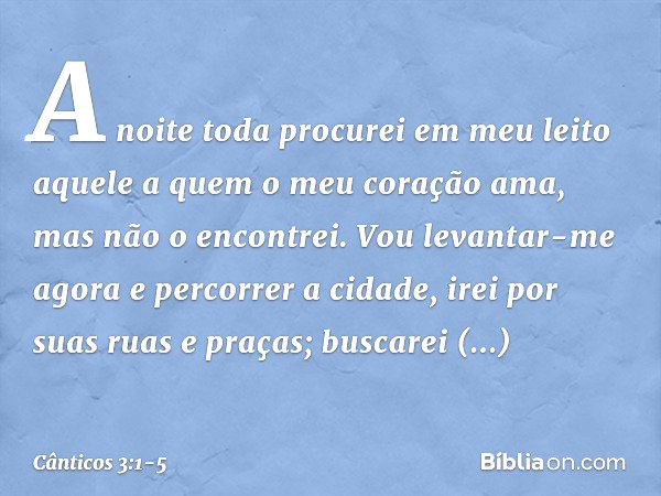 A noite toda procurei em meu leito
aquele a quem o meu coração ama,
mas não o encontrei. Vou levantar-me agora
e percorrer a cidade,
irei por suas ruas e praças