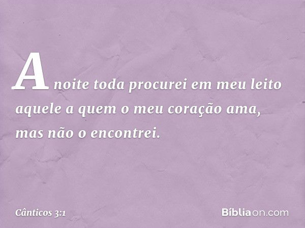 A noite toda procurei em meu leito
aquele a quem o meu coração ama,
mas não o encontrei. -- Cânticos 3:1