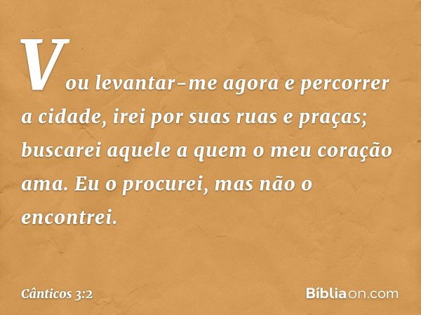 Vou levantar-me agora
e percorrer a cidade,
irei por suas ruas e praças;
buscarei aquele a quem
o meu coração ama.
Eu o procurei, mas não o encontrei. -- Cântic