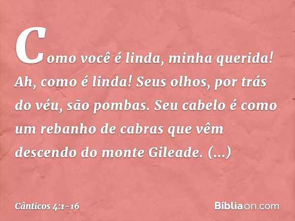 Como você é linda, minha querida!
Ah, como é linda!
Seus olhos, por trás do véu, são pombas.
Seu cabelo é como um rebanho de cabras
que vêm descendo do monte Gi