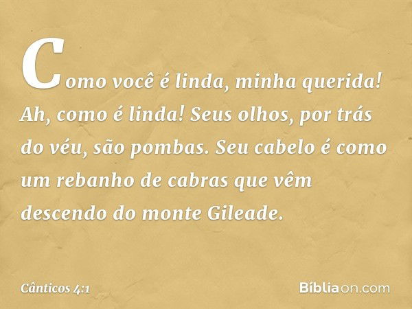 Como você é linda, minha querida!
Ah, como é linda!
Seus olhos, por trás do véu, são pombas.
Seu cabelo é como um rebanho de cabras
que vêm descendo do monte Gi