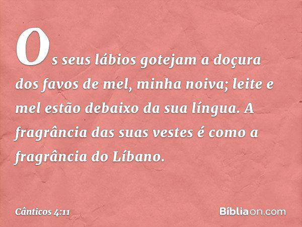 Os seus lábios gotejam a doçura
dos favos de mel, minha noiva;
leite e mel estão debaixo da sua língua.
A fragrância das suas vestes
é como a fragrância do Líba