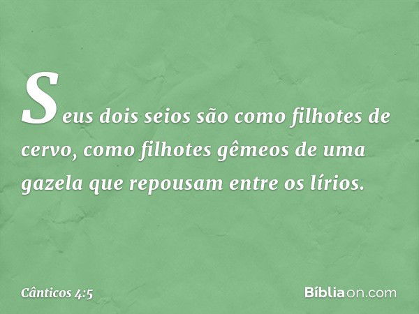 Seus dois seios são como filhotes de cervo,
como filhotes gêmeos de uma gazela
que repousam entre os lírios. -- Cânticos 4:5