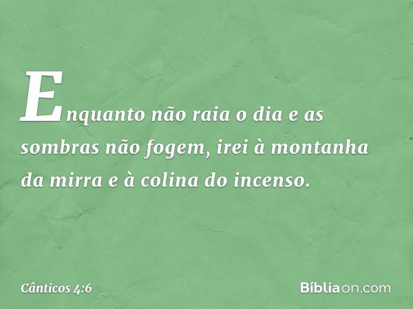 Enquanto não raia o dia
e as sombras não fogem,
irei à montanha da mirra
e à colina do incenso. -- Cânticos 4:6