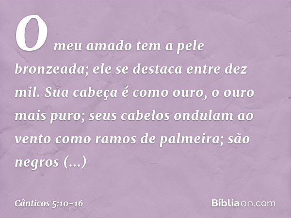 O meu amado tem a pele bronzeada;
ele se destaca entre dez mil. Sua cabeça é como ouro, o ouro mais puro;
seus cabelos ondulam ao vento
como ramos de palmeira;
