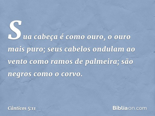 Sua cabeça é como ouro, o ouro mais puro;
seus cabelos ondulam ao vento
como ramos de palmeira;
são negros como o corvo. -- Cânticos 5:11