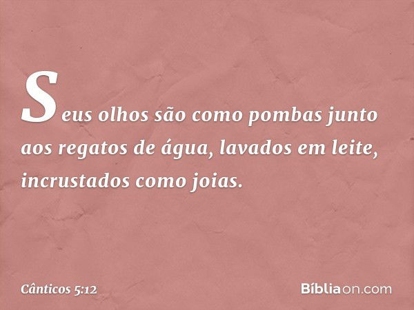 Seus olhos são como pombas
junto aos regatos de água,
lavados em leite,
incrustados como joias. -- Cânticos 5:12