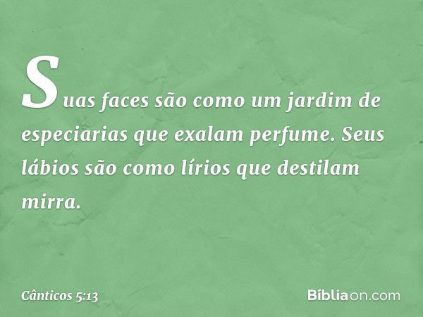 Suas faces são como
um jardim de especiarias
que exalam perfume.
Seus lábios são como lírios
que destilam mirra. -- Cânticos 5:13