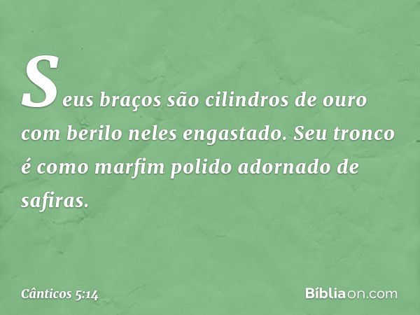 Seus braços são cilindros de ouro
com berilo neles engastado.
Seu tronco é como marfim polido
adornado de safiras. -- Cânticos 5:14