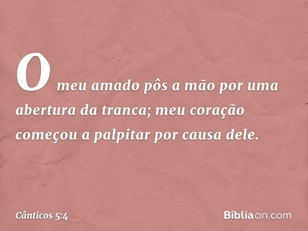 O meu amado pôs a mão
por uma abertura da tranca;
meu coração começou
a palpitar por causa dele. -- Cânticos 5:4