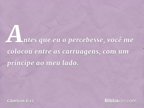 Antes que eu o percebesse,
você me colocou entre as carruagens,
com um príncipe ao meu lado. -- Cânticos 6:12