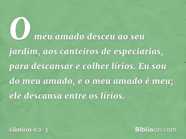 O meu amado desceu ao seu jardim,
aos canteiros de especiarias,
para descansar
e colher lírios. Eu sou do meu amado,
e o meu amado é meu;
ele descansa entre os 