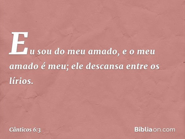 Eu sou do meu amado,
e o meu amado é meu;
ele descansa entre os lírios. -- Cânticos 6:3