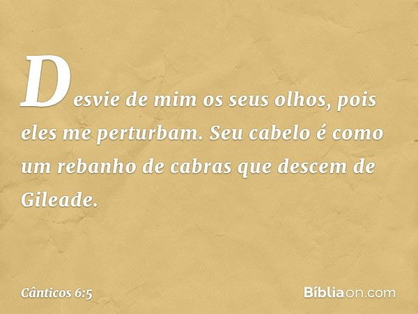 Desvie de mim os seus olhos,
pois eles me perturbam.
Seu cabelo é como
um rebanho de cabras
que descem de Gileade. -- Cânticos 6:5