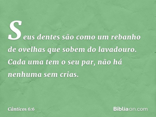 Seus dentes são como
um rebanho de ovelhas
que sobem do lavadouro.
Cada uma tem o seu par,
não há nenhuma sem crias. -- Cânticos 6:6