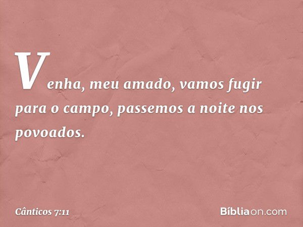 Venha, meu amado,
vamos fugir para o campo,
passemos a noite nos povoados. -- Cânticos 7:11