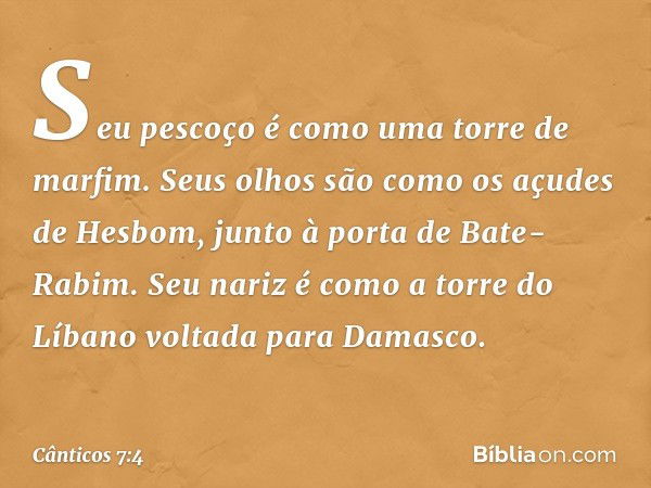 Seu pescoço é como
uma torre de marfim.
Seus olhos são como
os açudes de Hesbom,
junto à porta de Bate-Rabim.
Seu nariz é como a torre do Líbano
voltada para Da