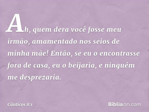 Ah, quem dera você fosse meu irmão,
amamentado nos seios de minha mãe!
Então, se eu o encontrasse fora de casa,
eu o beijaria,
e ninguém me desprezaria. -- Cânt