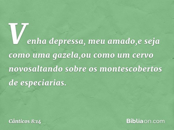 Venha depressa, meu amado,e seja como uma gazela,ou como um cervo novosaltando sobre os montescobertos de especiarias. -- Cânticos 8:14