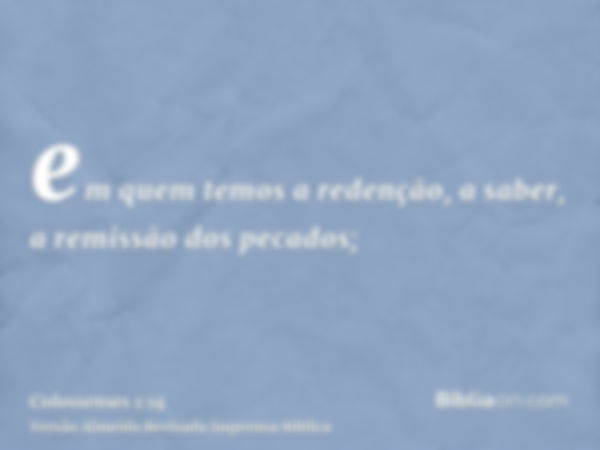 em quem temos a redenção, a saber, a remissão dos pecados;