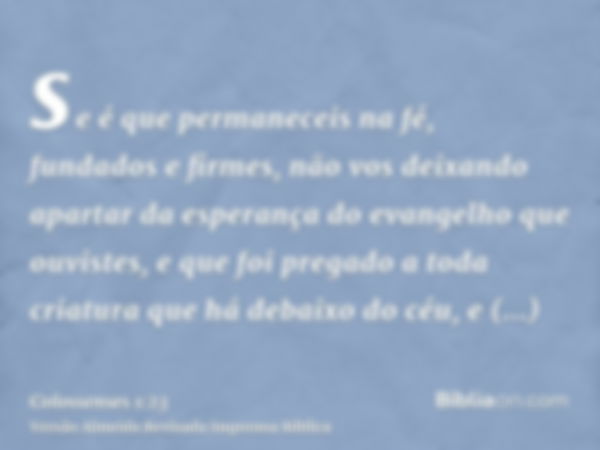 se é que permaneceis na fé, fundados e firmes, não vos deixando apartar da esperança do evangelho que ouvistes, e que foi pregado a toda criatura que há debaixo