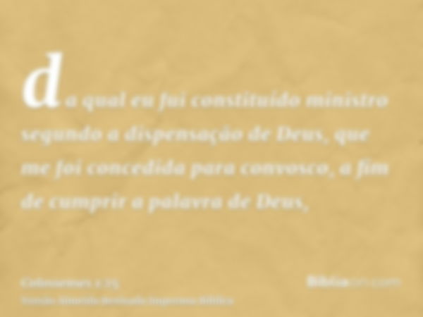 da qual eu fui constituído ministro segundo a dispensação de Deus, que me foi concedida para convosco, a fim de cumprir a palavra de Deus,