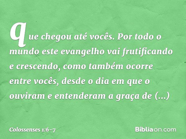 que chegou até vocês. Por todo o mundo este evangelho vai frutificando e crescendo, como também ocorre entre vocês, desde o dia em que o ouviram e entenderam a 