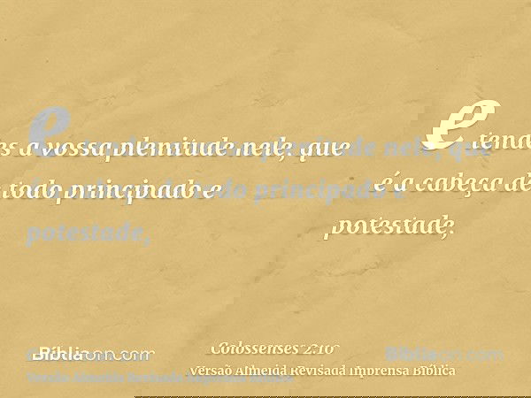 e tendes a vossa plenitude nele, que é a cabeça de todo principado e potestade,