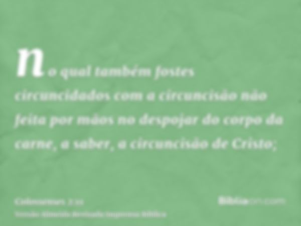 no qual também fostes circuncidados com a circuncisão não feita por mãos no despojar do corpo da carne, a saber, a circuncisão de Cristo;