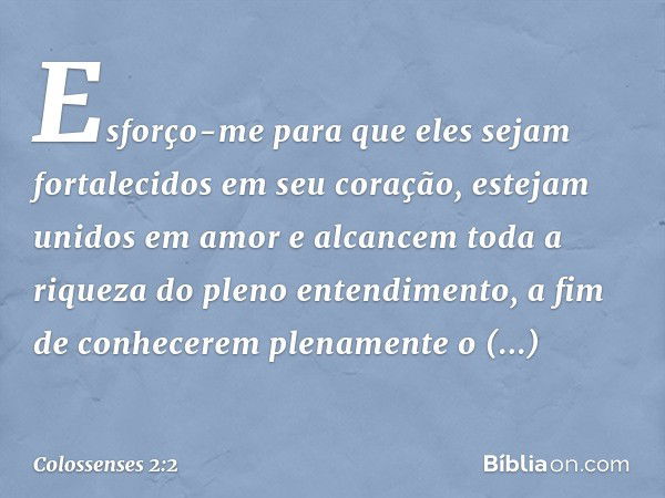 Esforço-me para que eles sejam fortalecidos em seu coração, estejam unidos em amor e alcancem toda a riqueza do pleno entendimento, a fim de conhecerem plenamen