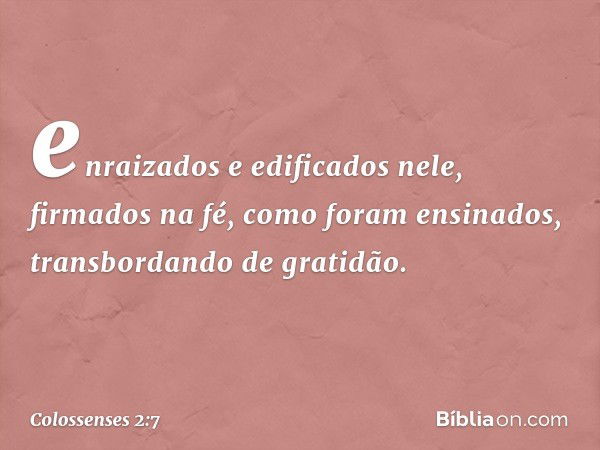 enraizados e edificados nele, firmados na fé, como foram ensinados, transbordando de gratidão. -- Colossenses 2:7