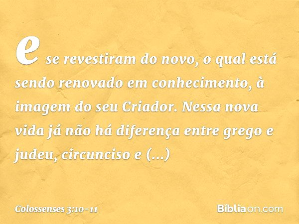 e se revestiram do novo, o qual está sendo renovado em conhecimento, à imagem do seu Criador. Nessa nova vida já não há diferença entre grego e judeu, circuncis