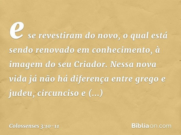 e se revestiram do novo, o qual está sendo renovado em conhecimento, à imagem do seu Criador. Nessa nova vida já não há diferença entre grego e judeu, circuncis