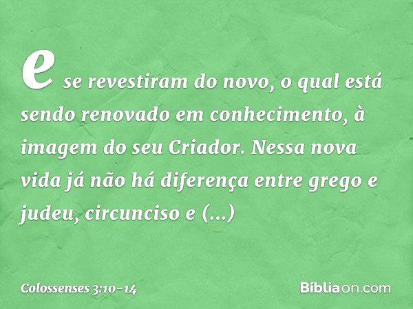 e se revestiram do novo, o qual está sendo renovado em conhecimento, à imagem do seu Criador. Nessa nova vida já não há diferença entre grego e judeu, circuncis