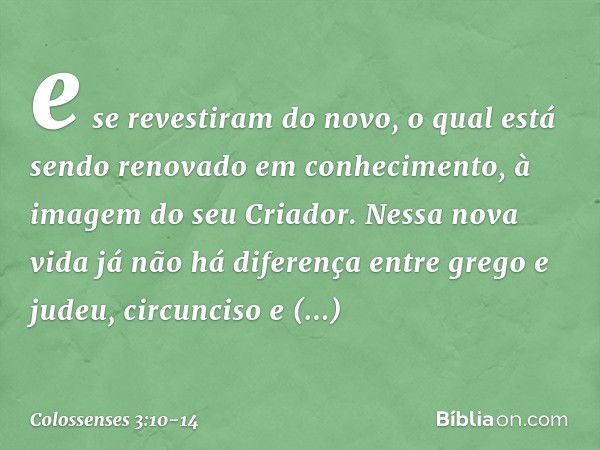 e se revestiram do novo, o qual está sendo renovado em conhecimento, à imagem do seu Criador. Nessa nova vida já não há diferença entre grego e judeu, circuncis