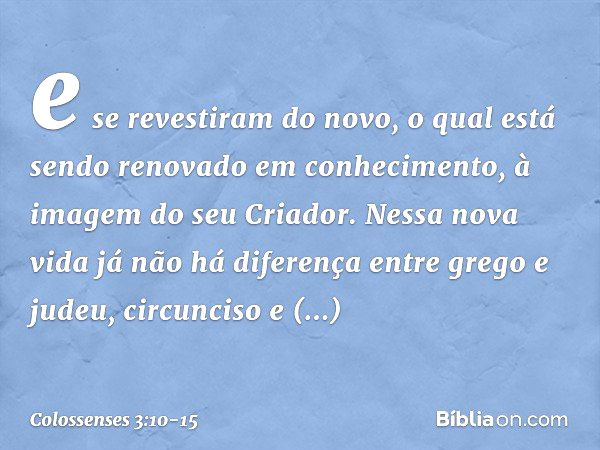 e se revestiram do novo, o qual está sendo renovado em conhecimento, à imagem do seu Criador. Nessa nova vida já não há diferença entre grego e judeu, circuncis