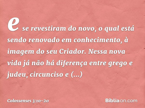 e se revestiram do novo, o qual está sendo renovado em conhecimento, à imagem do seu Criador. Nessa nova vida já não há diferença entre grego e judeu, circuncis