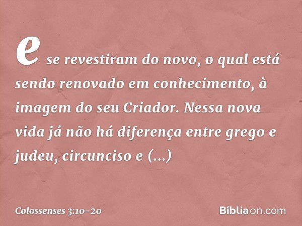 e se revestiram do novo, o qual está sendo renovado em conhecimento, à imagem do seu Criador. Nessa nova vida já não há diferença entre grego e judeu, circuncis