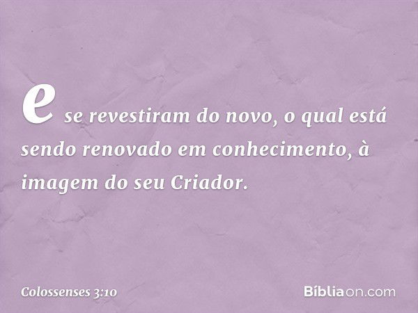 e se revestiram do novo, o qual está sendo renovado em conhecimento, à imagem do seu Criador. -- Colossenses 3:10