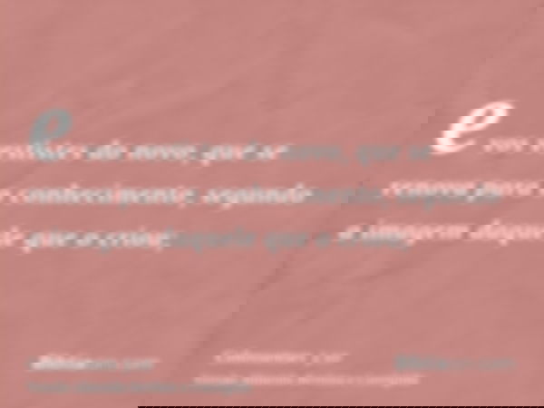 e vos vestistes do novo, que se renova para o conhecimento, segundo a imagem daquele que o criou;