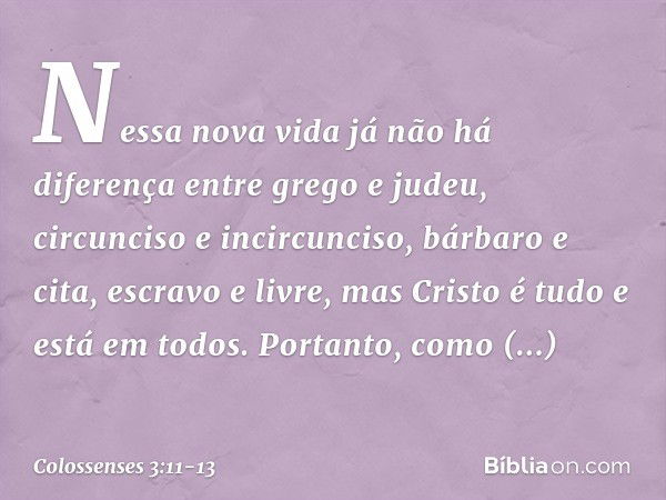 Nessa nova vida já não há diferença entre grego e judeu, circunciso e incircunciso, bárbaro e cita, escravo e livre, mas Cristo é tudo e está em todos. Portanto